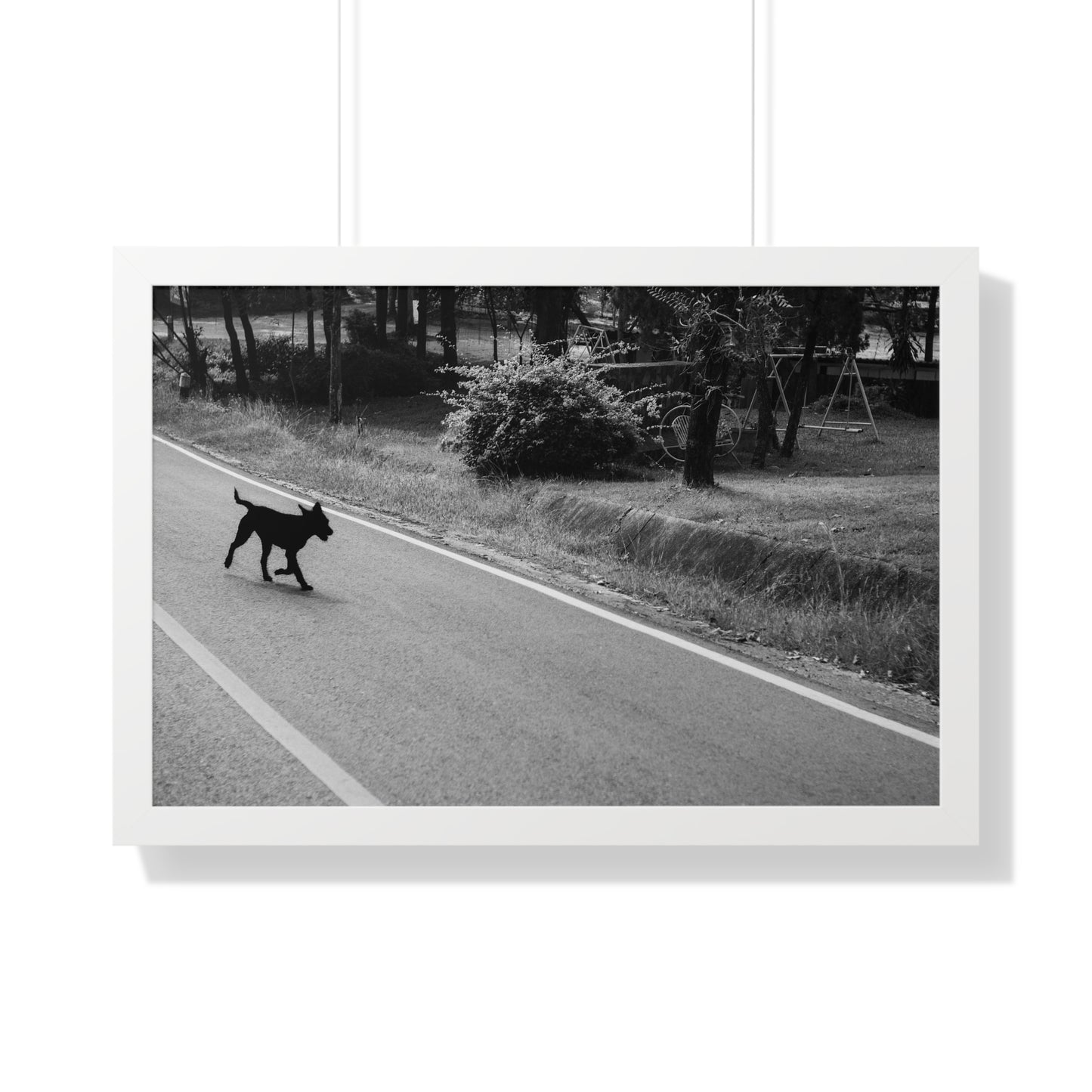 "Wandering Dog" Framed Photographic Print