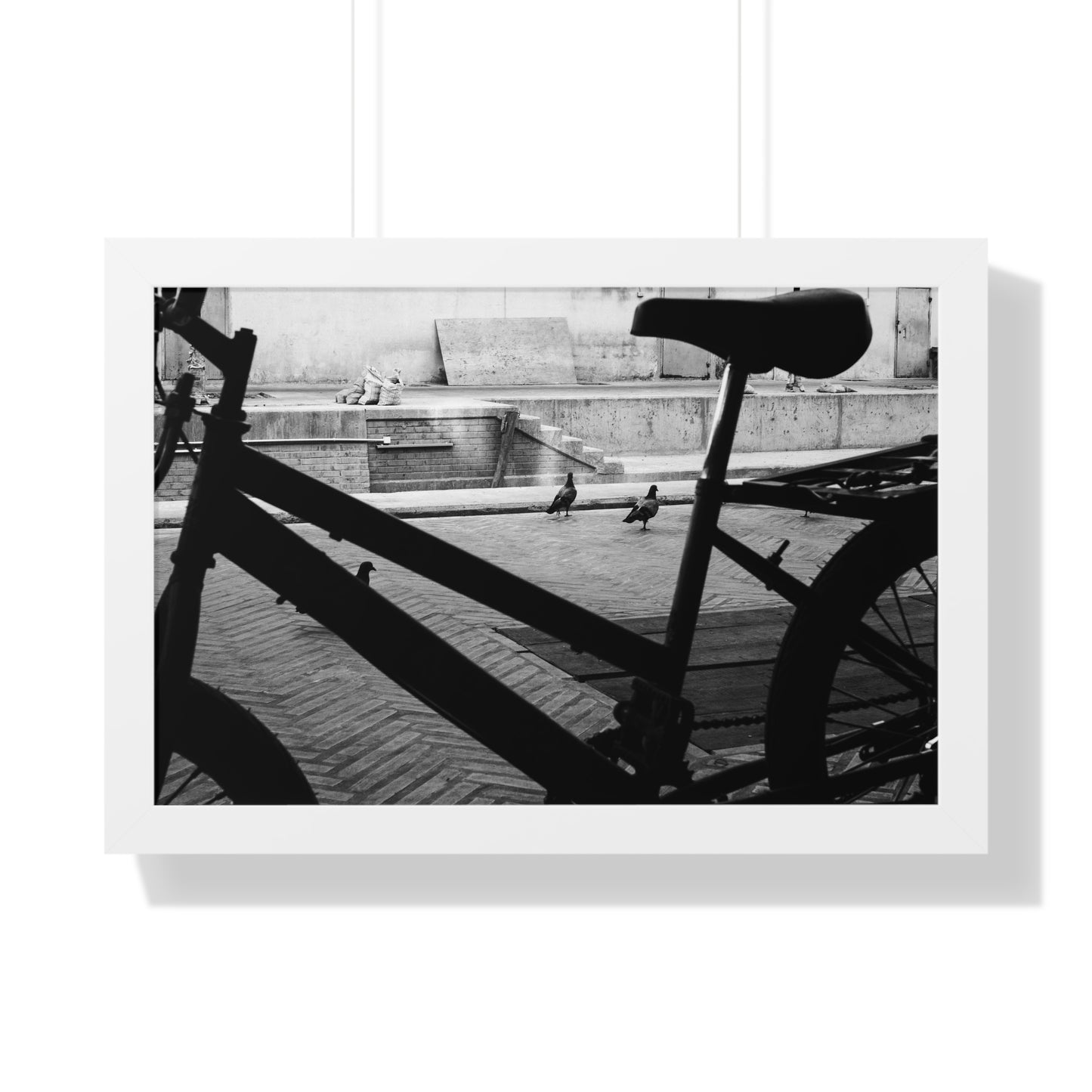 "Pigeons and Pedals" Framed Photographic Print