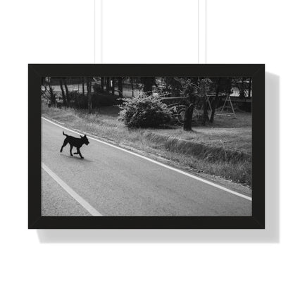 "Wandering Dog" Framed Photographic Print