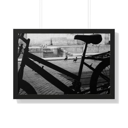 "Pigeons and Pedals" Framed Photographic Print