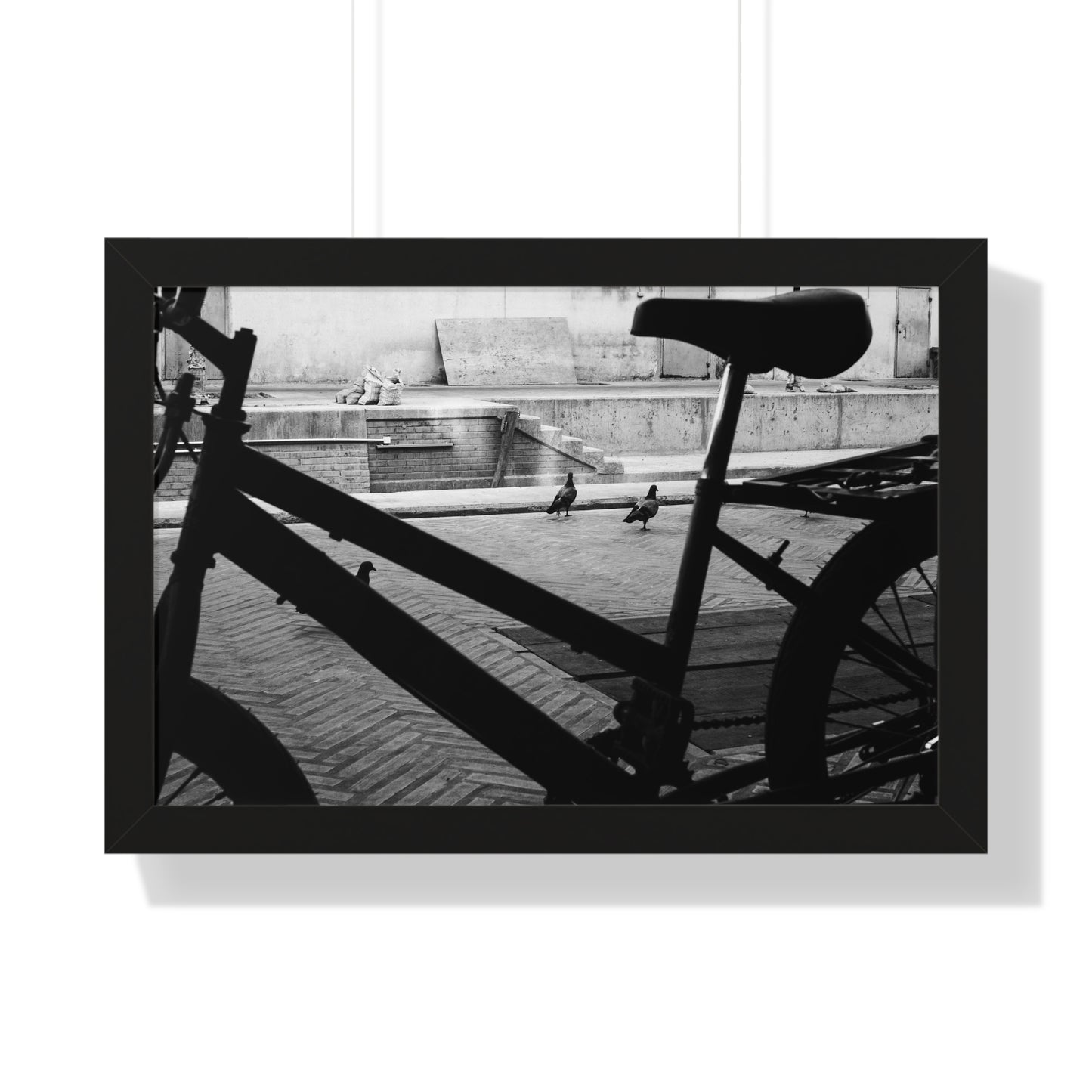 "Pigeons and Pedals" Framed Photographic Print